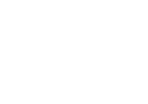 Icon Triangle